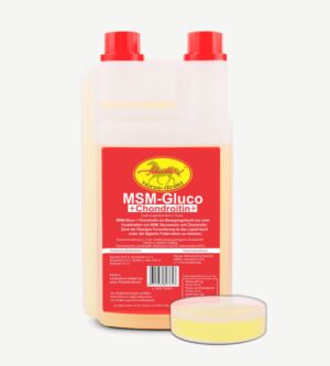 MSM & Glucosamin 1 Liter Kanister