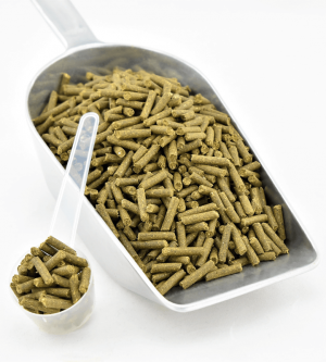 Ingwer-Teufelskralle 1750 g Eimer