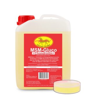 2,5 Liter Kanister MSM Glucosamin